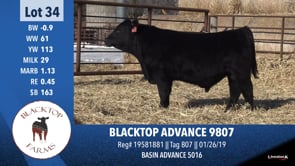 Lot #34 - BLACKTOP ADVANCE 9807