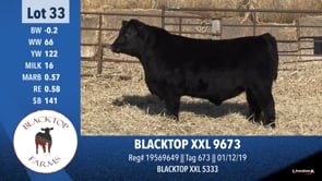 Lot #33 - BLACKTOP XXL 9673