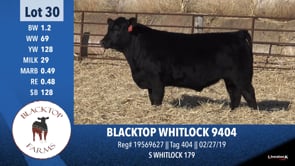Lot #30 - BLACKTOP WHITLOCK 9404