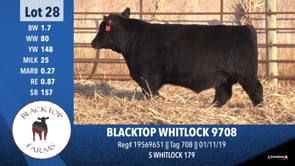Lot #28 - BLACKTOP WHITLOCK 9708