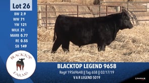 Lot #26 - BLACKTOP LEGEND 9658