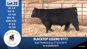 Lot #25 - BLACKTOP LEGEND 9777