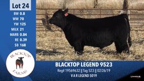 Lot #24 - BLACKTOP LEGEND 9523