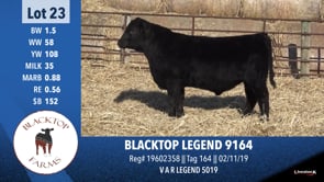 Lot #23 - BLACKTOP LEGEND 9164