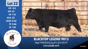 Lot #22 - BLACKTOP LEGEND 9013