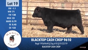 Lot #19 - BLACKTOP CASH CROP 9610