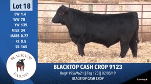 Lot #18 - BLACKTOP CASH CROP 9123