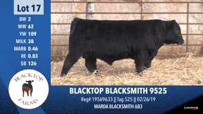 Lot #17 - BLACKTOP BLACKSMITH 9525