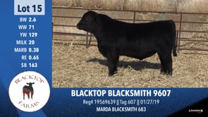 Lot #15 - BLACKTOP BLACKSMITH 9607