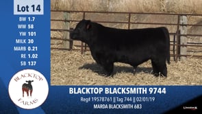 Lot #14 - BLACKTOP BLACKSMITH 9744