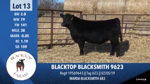 Lot #13 - BLACKTOP BLACKSMITH 9623