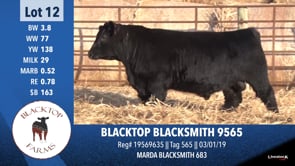 Lot #12 - BLACKTOP BLACKSMITH 9565