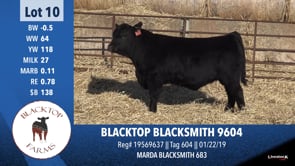 Lot #10 - BLACKTOP BLACKSMITH 9604