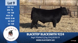 Lot #9 - BLACKTOP BLACKSMITH 9224