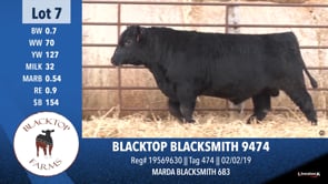 Lot #7 - BLACKTOP BLACKSMITH 9474