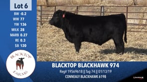 Lot #6 - BLACKTOP BLACKHAWK 974