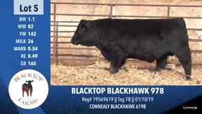 Lot #5 - BLACKTOP BLACKHAWK 978