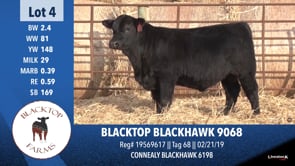 Lot #4 - BLACKTOP BLACKHAWK 9068