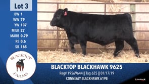 Lot #3 - BLACKTOP BLACKHAWK 9625