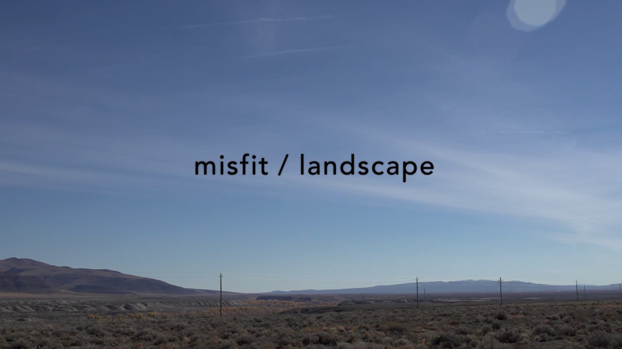 MISFIT /  LANDSCAPE
