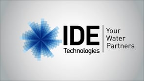 IDE - פנים ארגוני