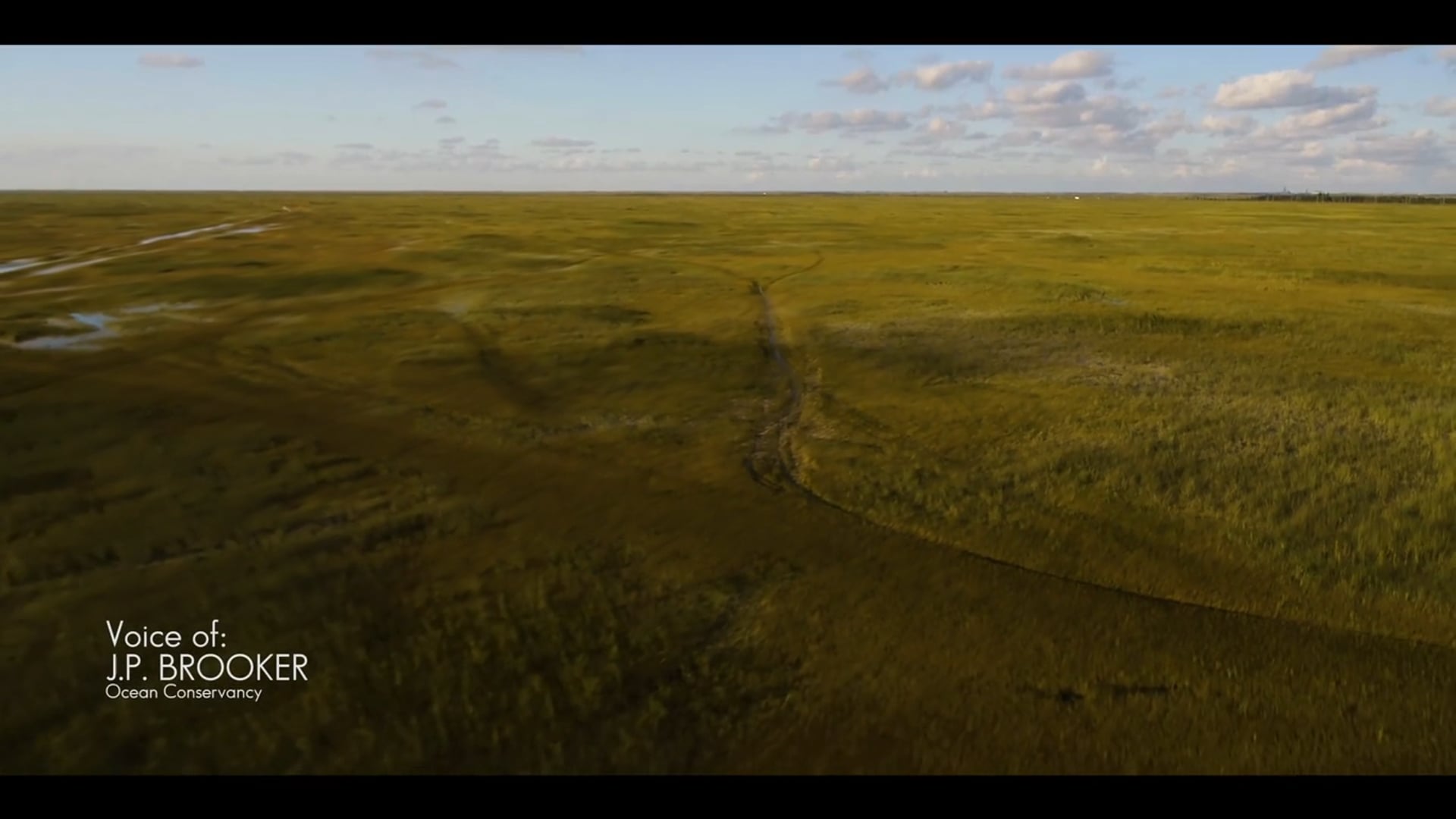 Ocean to the Everglades - Documentary Part 2