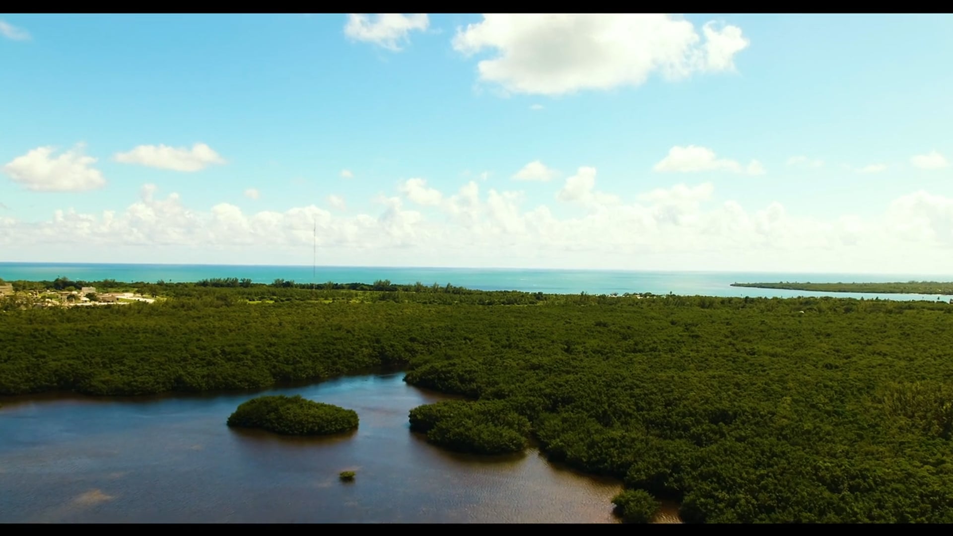 Ocean to the Everglades - Documentary Part 3