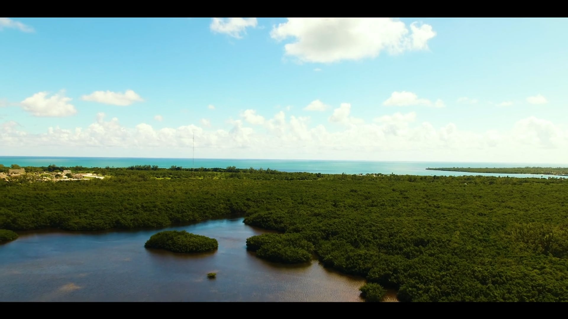 Ocean to the Everglades - Documentary Part 3
