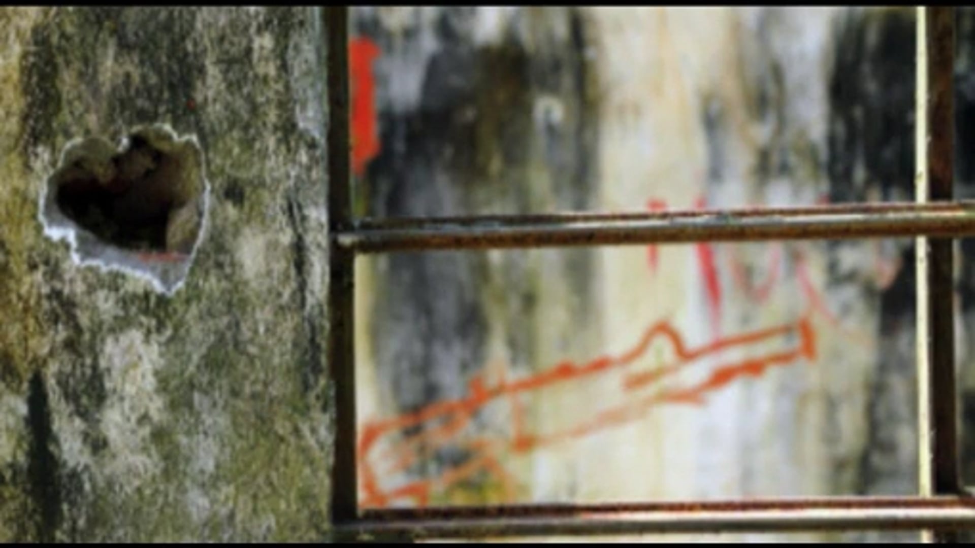 Equipaje vacío (Empty Baggage)