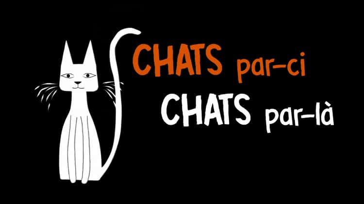 Chats par ci Chats par l Bande annonce