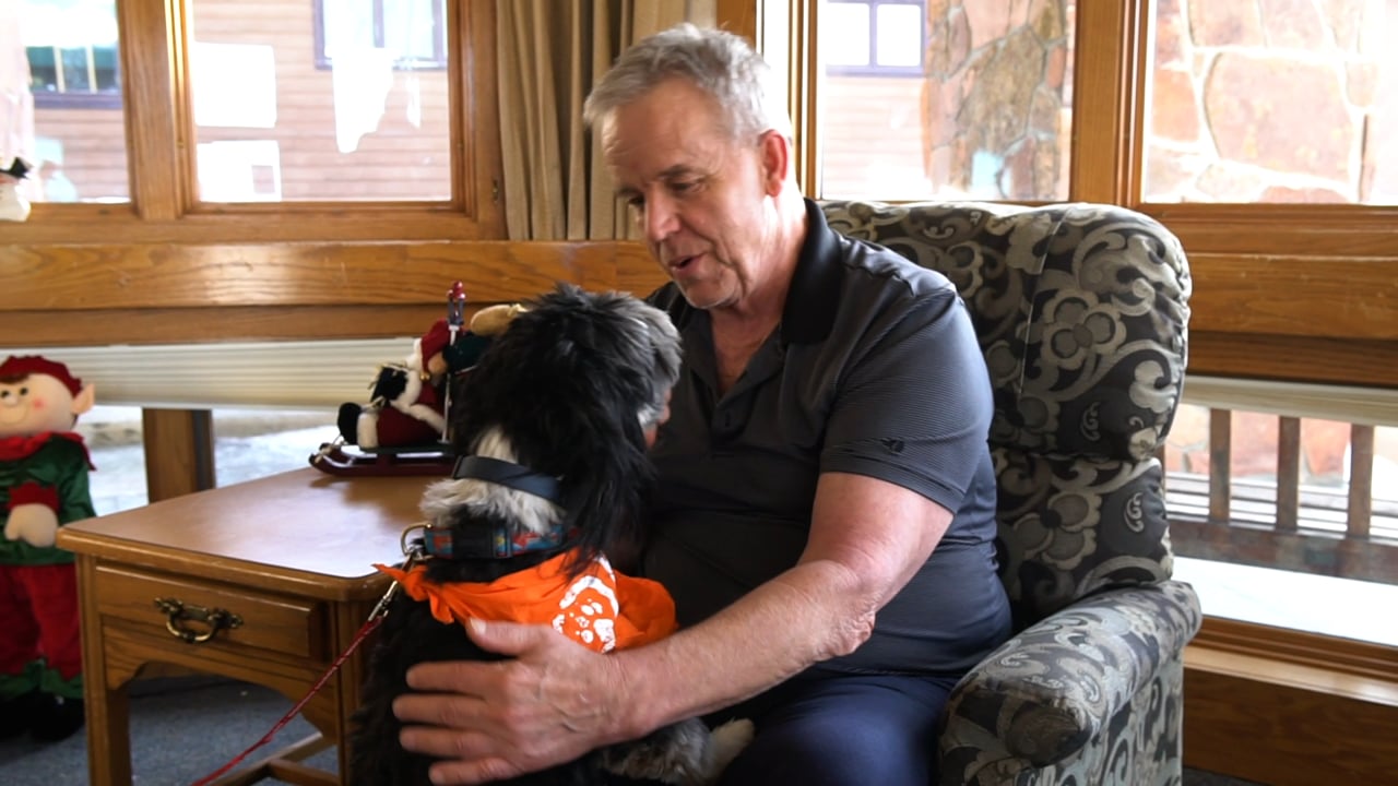 Introducing SeniorPAWS