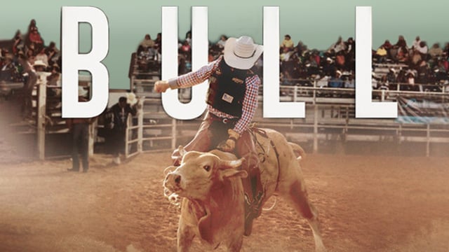 Bull