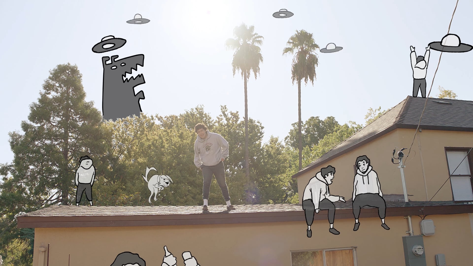 Hobo Johnson - I Want A Dog Music Video