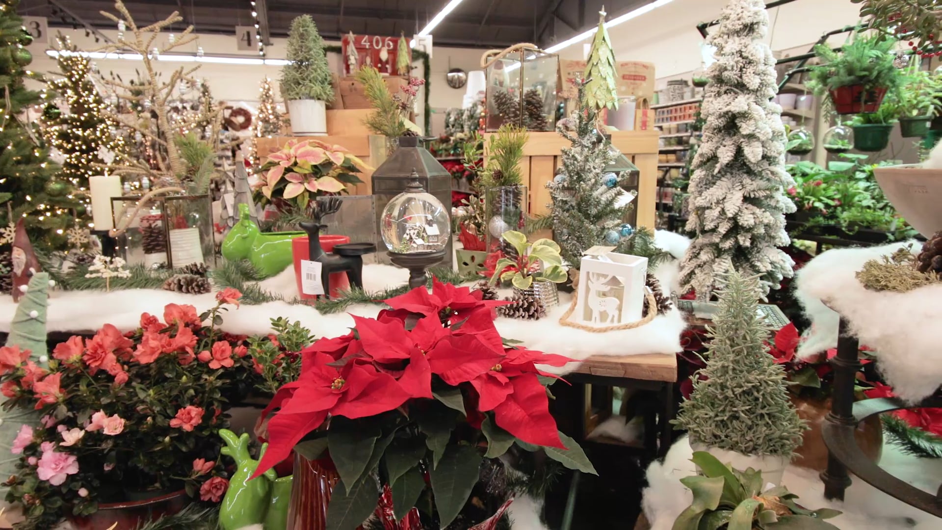 Montana Ace Hardware | The Christmas Place