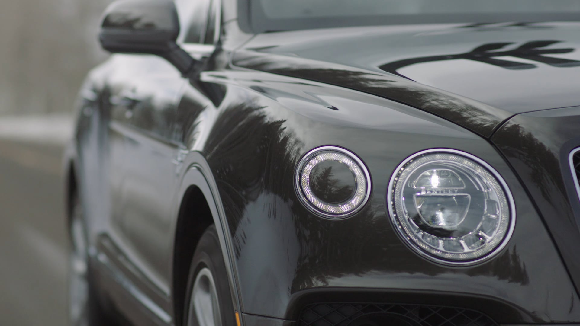 Bentley Colorado SUV Spot