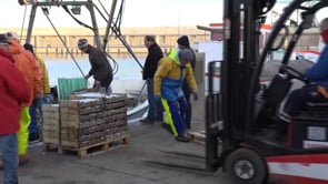 Captures escasses en la tornada de les teranyines a la feina