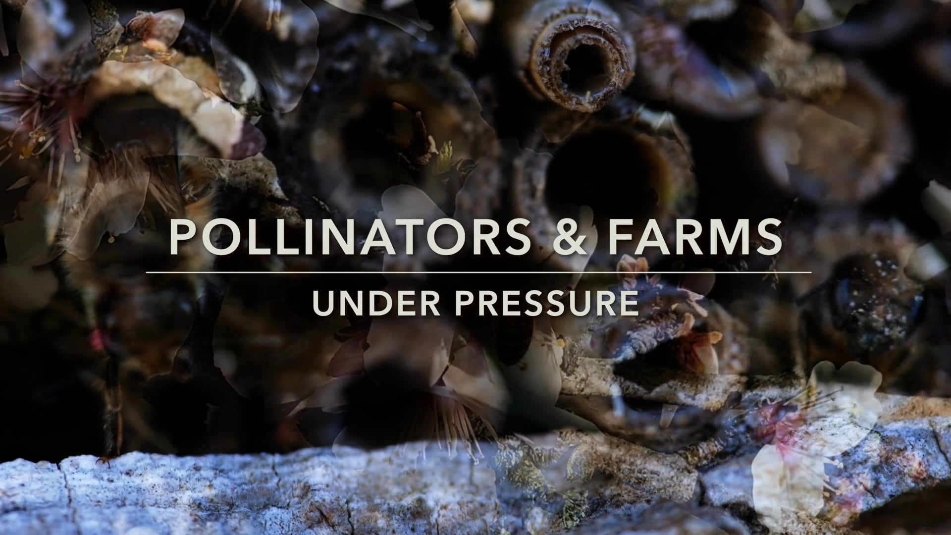 Farms Under Pressure