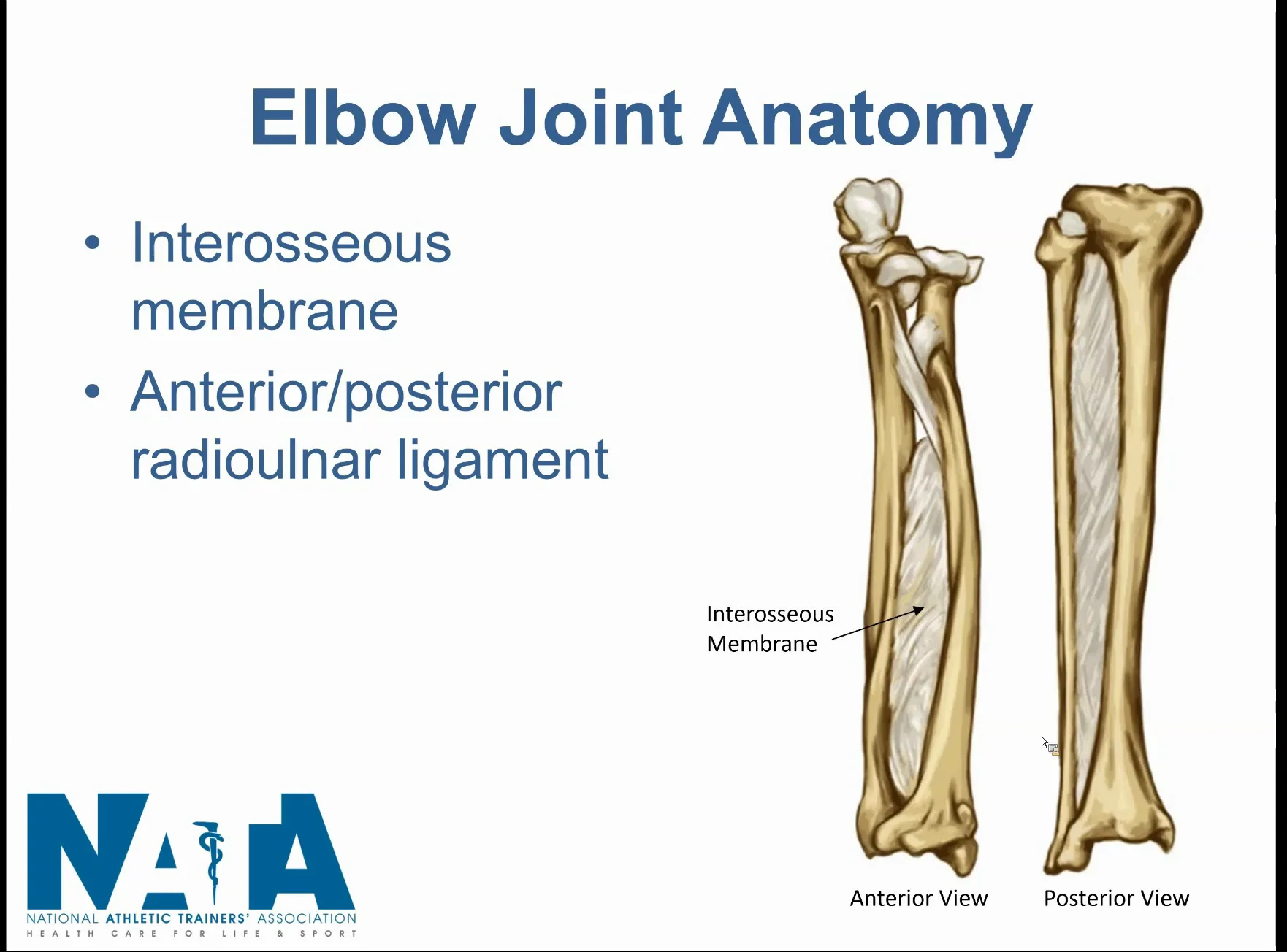Manual Therapy Elbow and Forearm on Vimeo