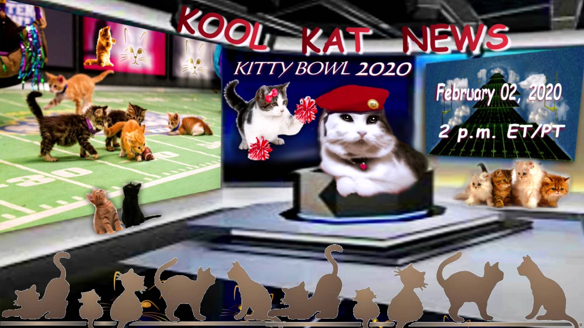 KOOL KAT NEWS SPECIAL EDITIONKITTEN BOWL 2020 on Vimeo