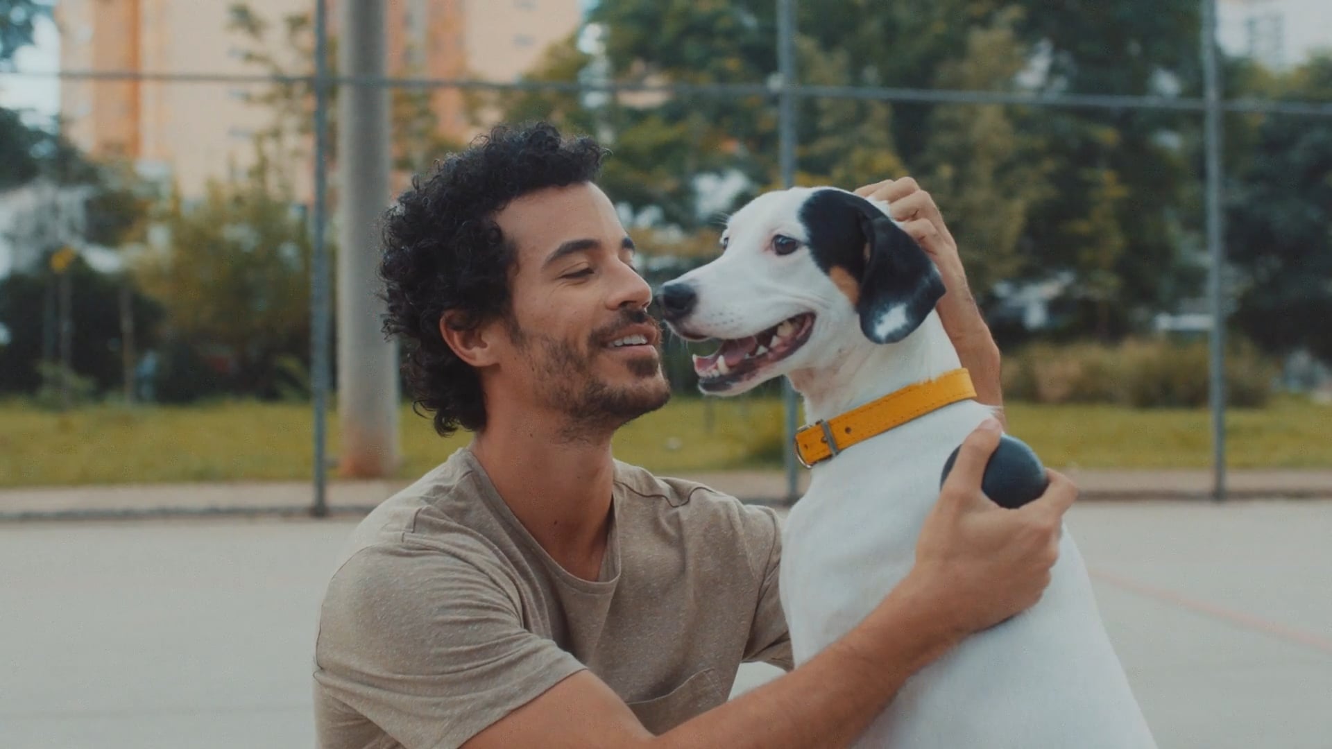 Pedigree_A Dog brings (DIRECTORS CUT )