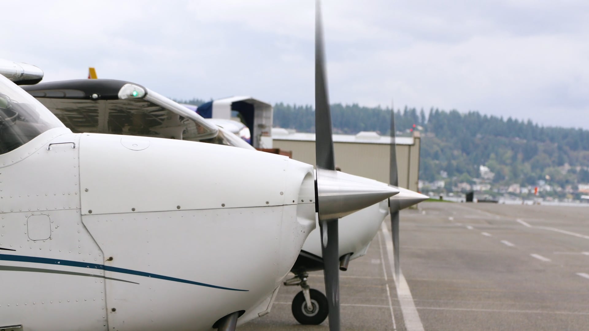 TPN | MS_Flight Simulator_Kitty Hawk
