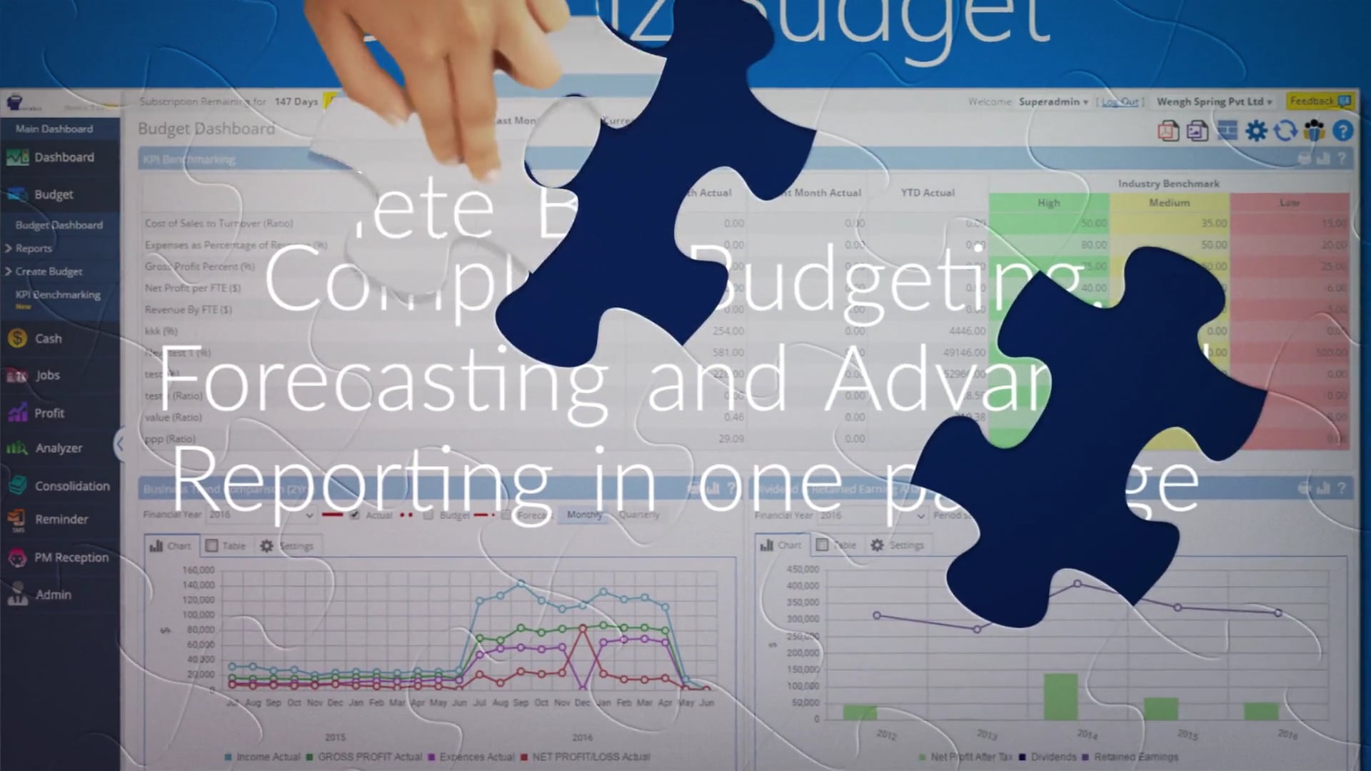 Cerebiz Budget
