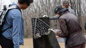 Finding a Time Capsule in a Sculpture