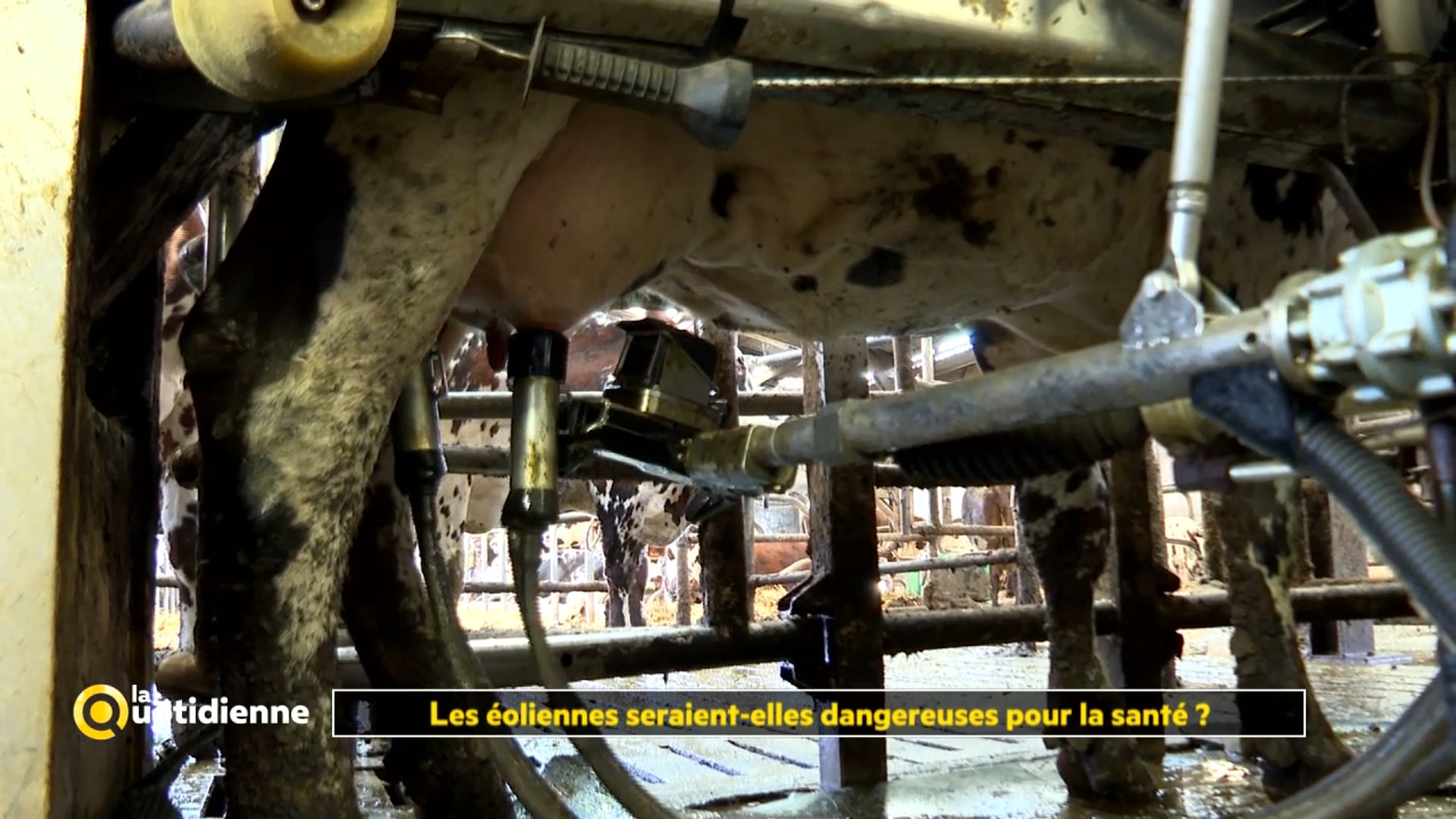 La Quotidienne / France 5 / Les éoliennes seraient-elles dangereuses pour la santé