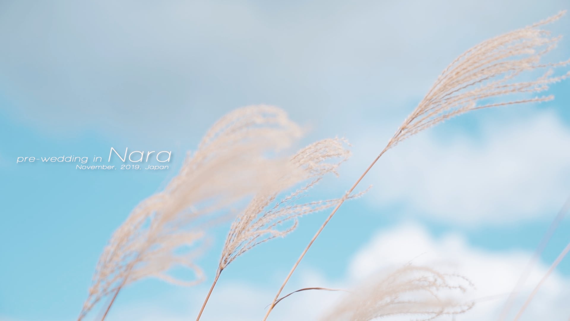 《Pre-wedding》2019海外婚紗 / 幸哲&冠甄 / 日本奈良Nara