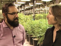 Avoiding Common Mistakes: Tips for New Growers