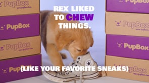 Pupbox - Customer Success Story