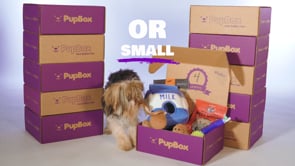 Pupbox - Customer Success Story