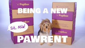 Pupbox - Customer Success Story