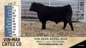 Lot #3 - VIN-MAR RIVAL 9534